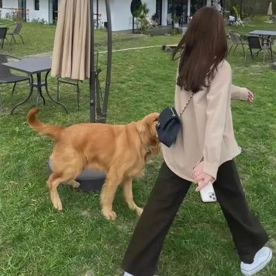 理想的意大利情人